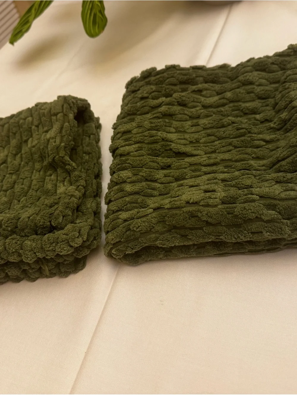 Plush Textured Green Throw Pillow - Set of 2